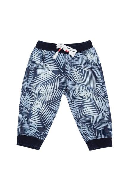 gini & jony kids blue printed joggers