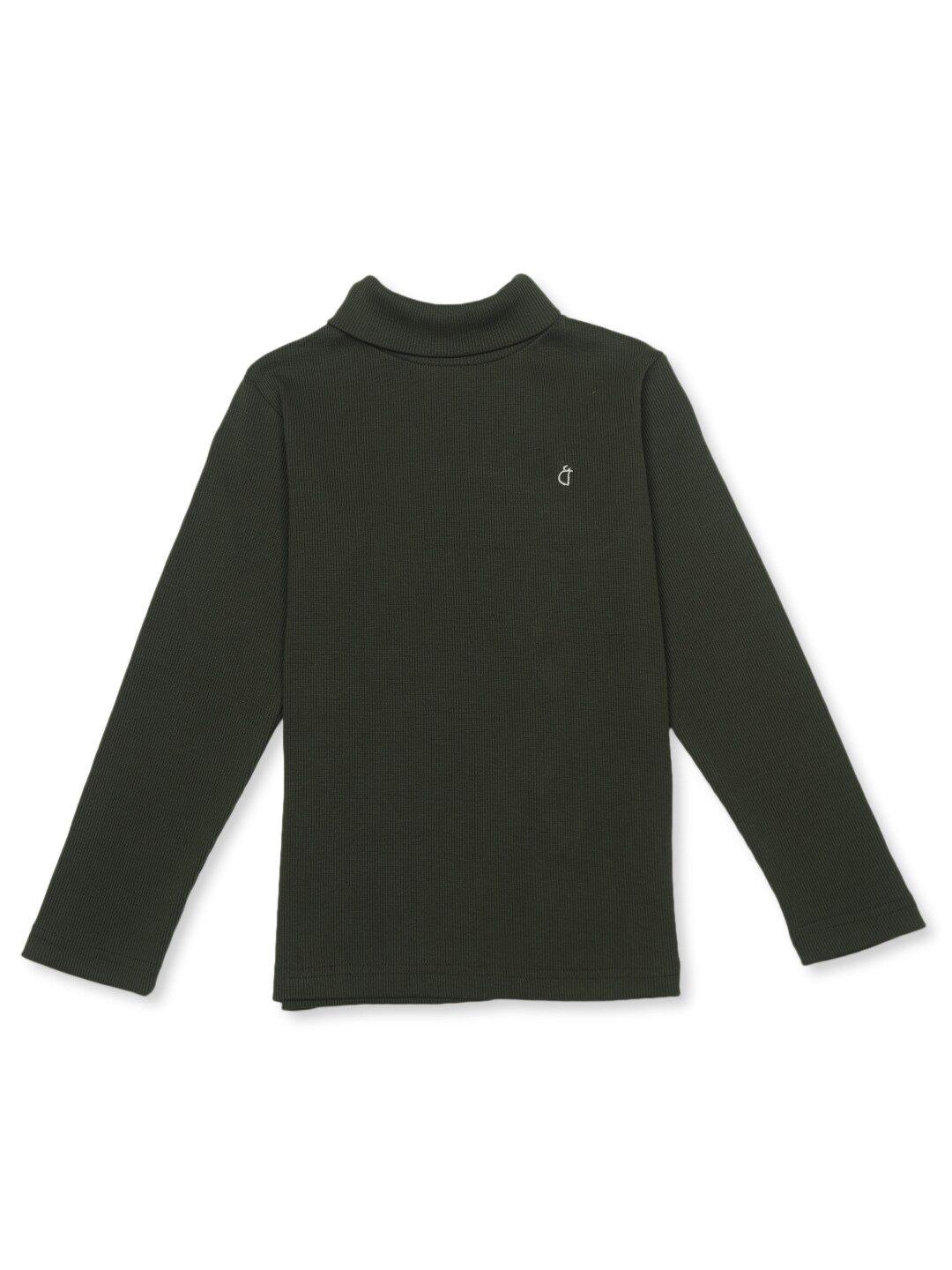 gini and jony boys turtle neck cotton pullover