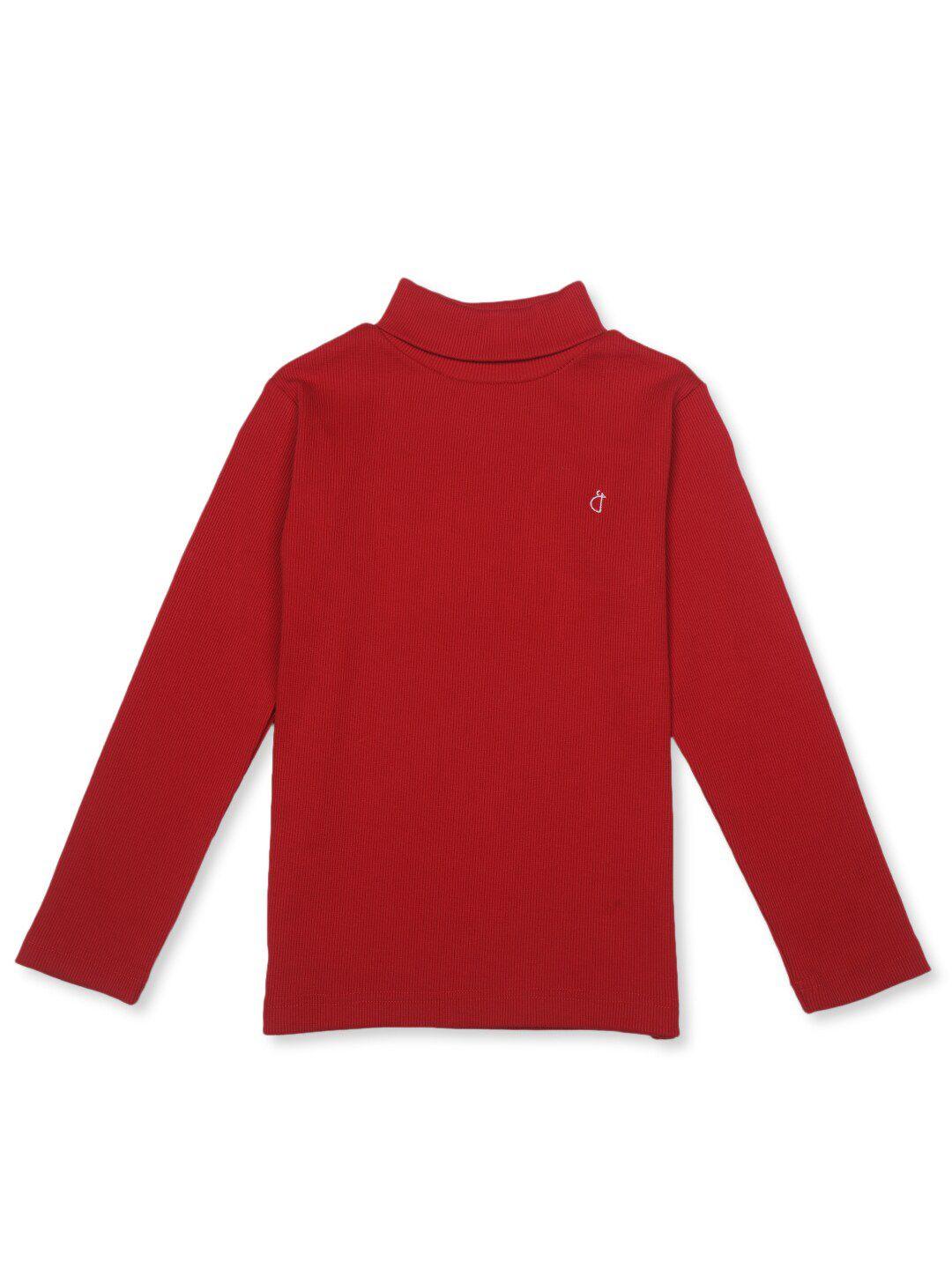 gini and jony boys turtle neck long sleeves cotton pullover