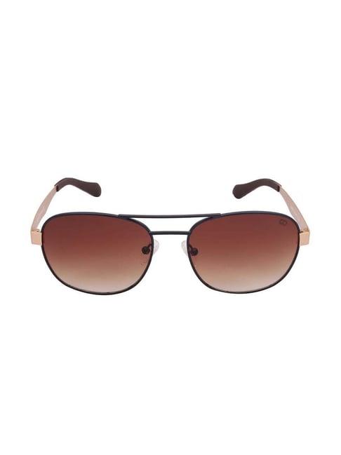 gio collection gm6079c04 brown pilot sunglasses