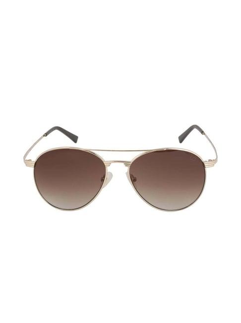 gio collection gm6112c010 brown pilot sunglasses