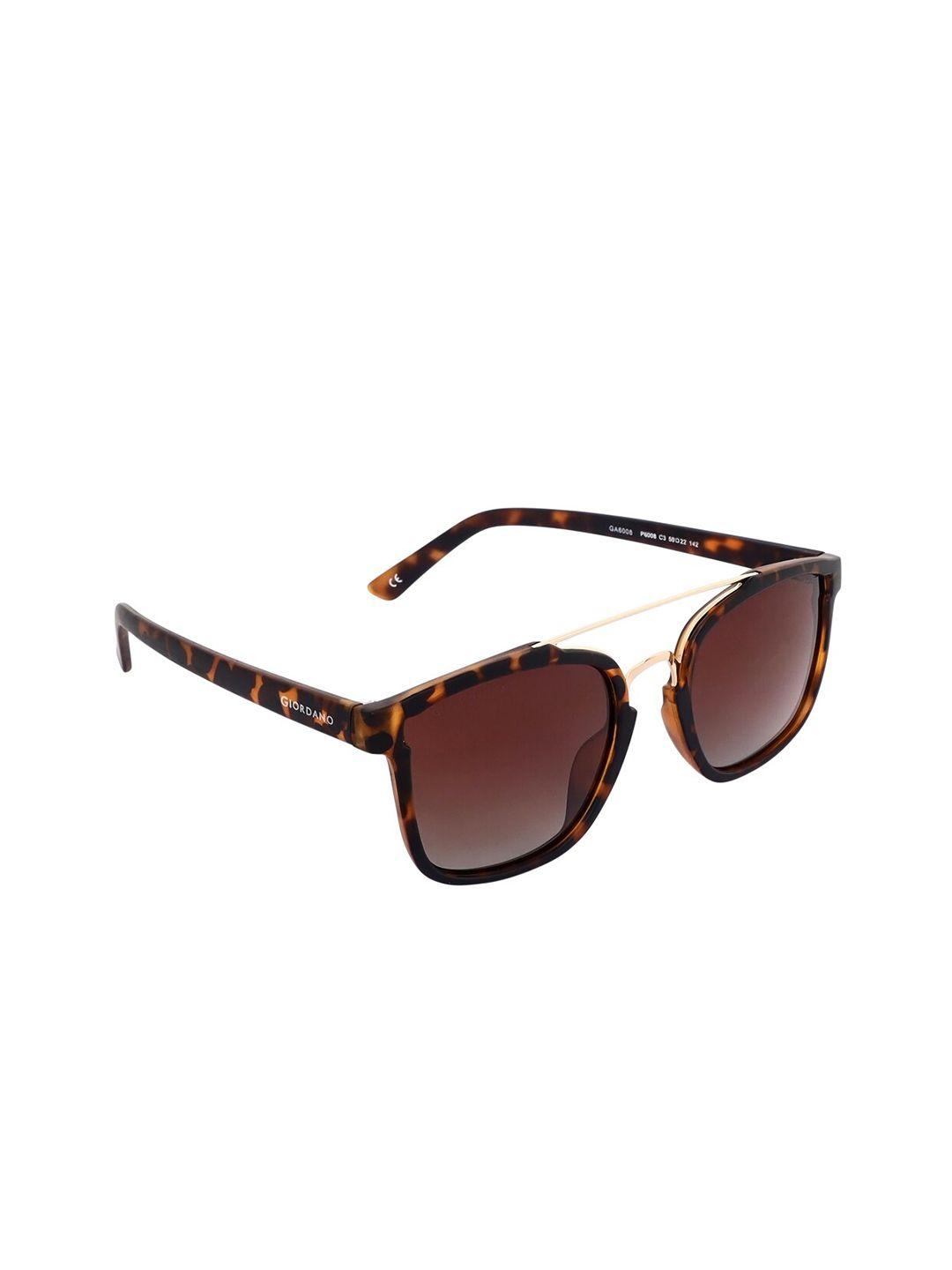 giordano unisex brown lens & black wayfarer sunglasses ga6008c03
