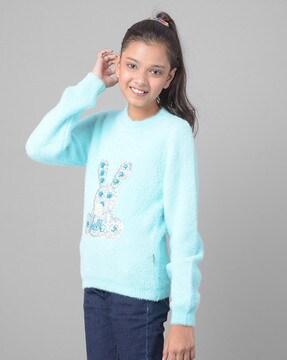 girls embroidered crew-neck sweater dress