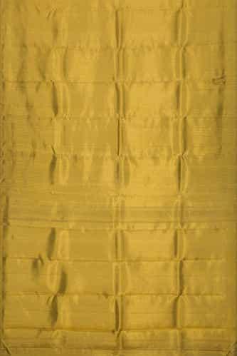 gold dual tone kanchipuram tissue silk saree