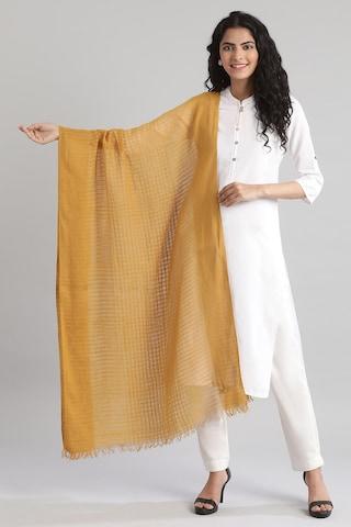 gold stripe cotton dupatta