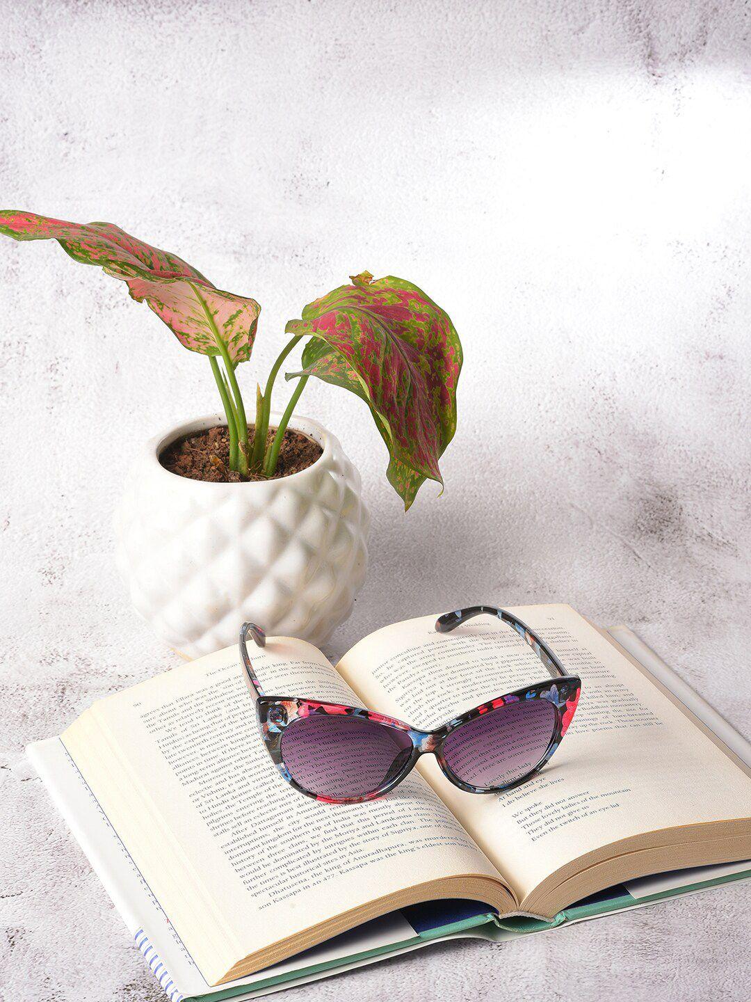 haute sauce by campus sutra women black lens & pink cateye sunglasses