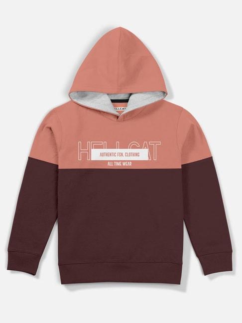 hellcat pink & brown color block full sleeves sweatshirt
