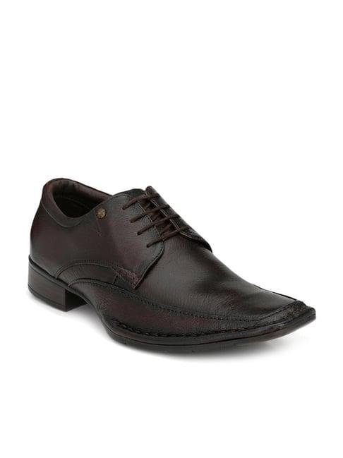 hitz men's brown derby shoes