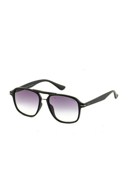 iarra purple square sunglasses for men