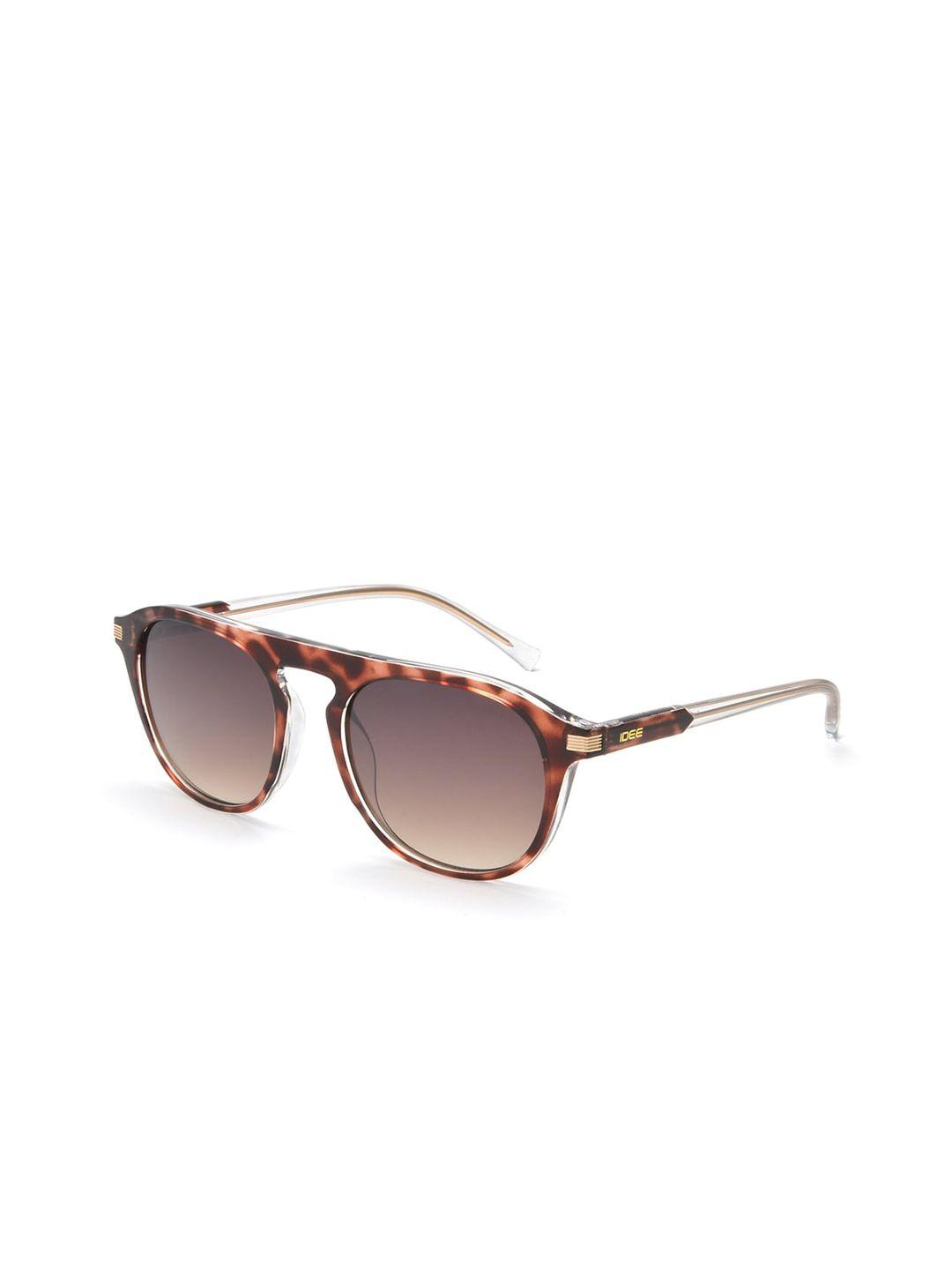 idee men brown lens & brown oval sunglasses with uv protected lens