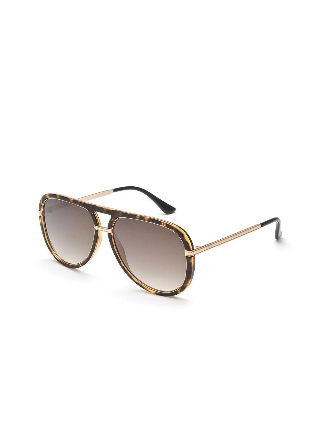 idee men brown lens & brown aviator sunglasses with uv protected lens