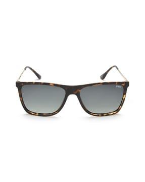 ids2804c10psg animal print wayfarers sunglasses