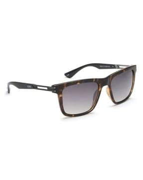 ids2956c3sg full-rimmed gradient sunglasses