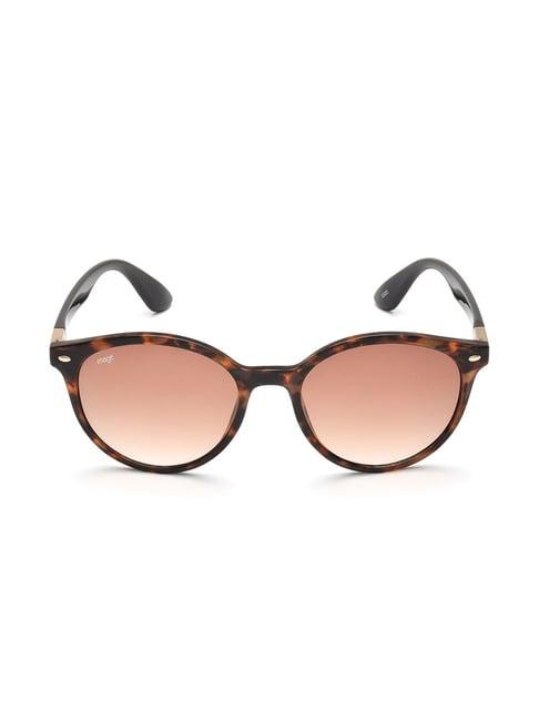 image ims747c1sg brown oval sunglasses