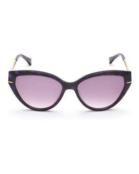 ims735c5sg cat-eye sunglasses with gradient lens