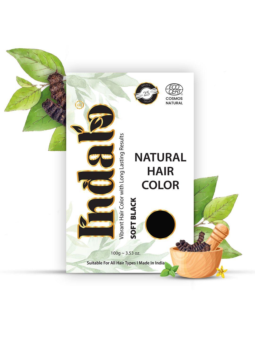 indalo set of 2 ammonia free natural hair colour with amla & brahmi 100g each - soft black