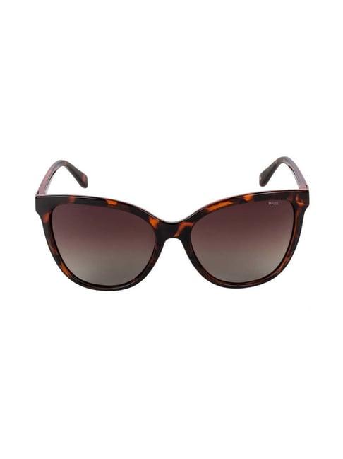 invu b2833b brown polarized cat eye sunglasses