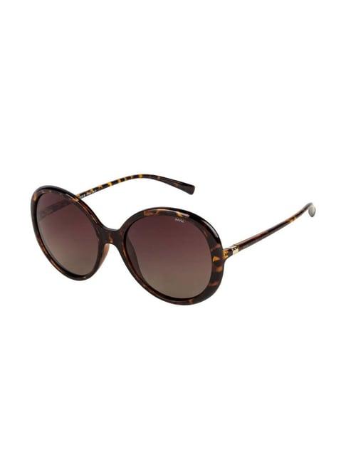 invu brown oval uv protection sunglasses for women