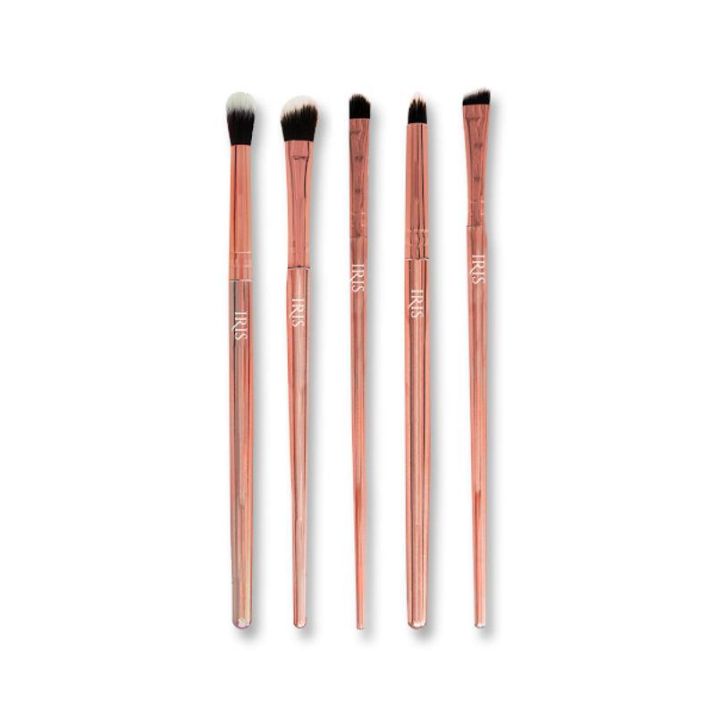 iris cosmetics luminous eye brush set