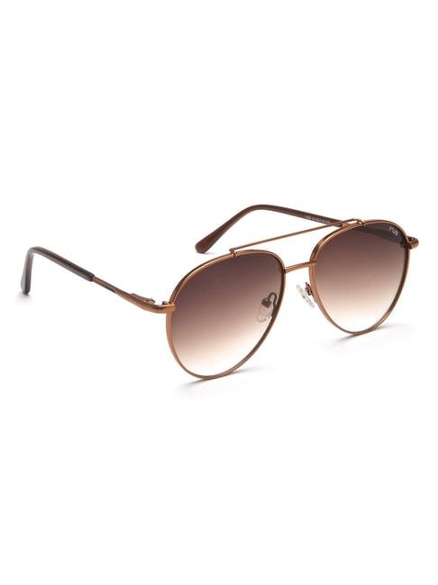 irus by idee brown aviator sunglasses for men