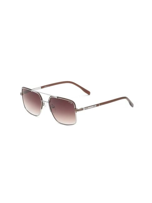 irus by idee brown square sunglasses for men