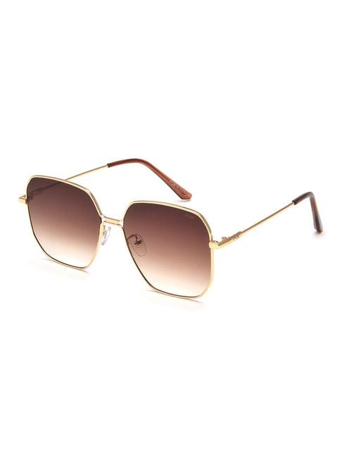 irus by idee brown square sunglasses for women
