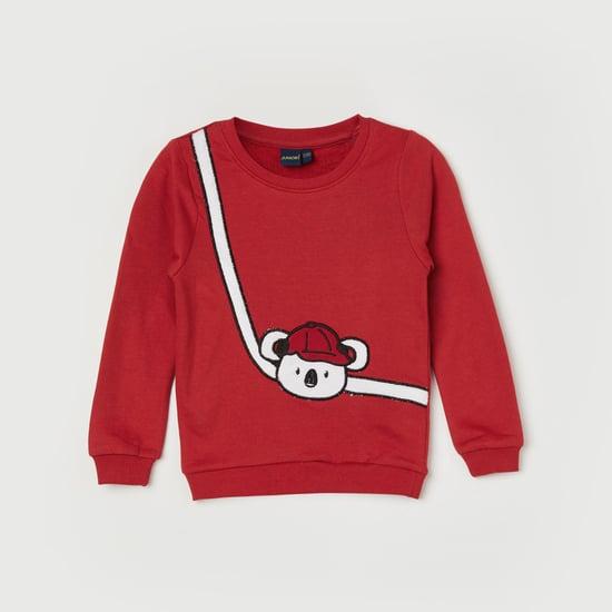 juniors boys embroidered pullover sweatshirt