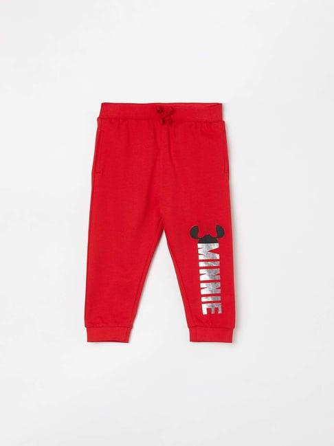 juniors by lifestyle red cotton printed joggers