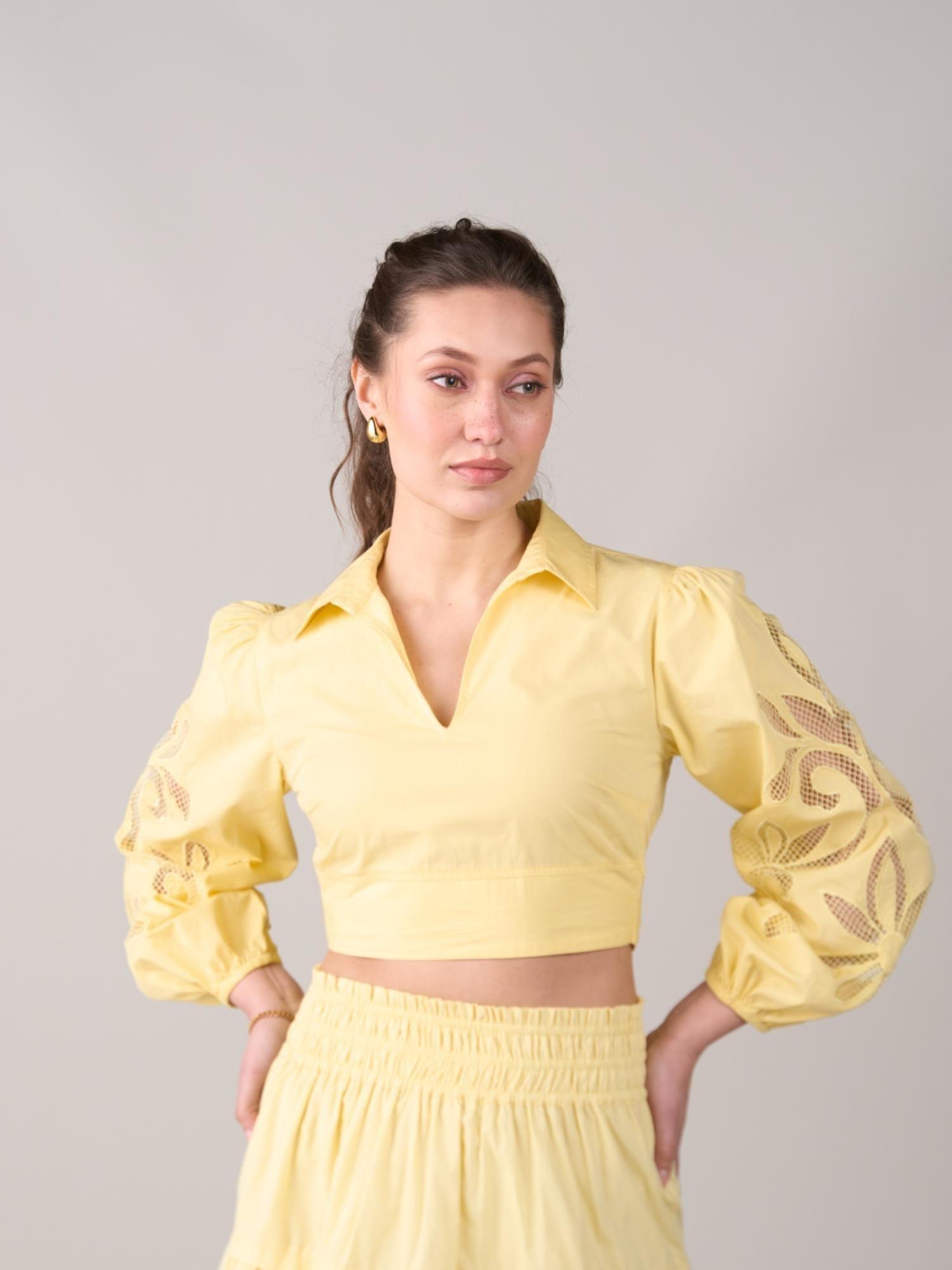 katherine embroidered sleeve crop top-yellow