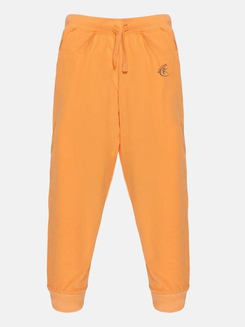 kiddopanti kids orange cotton regular fit trackpants