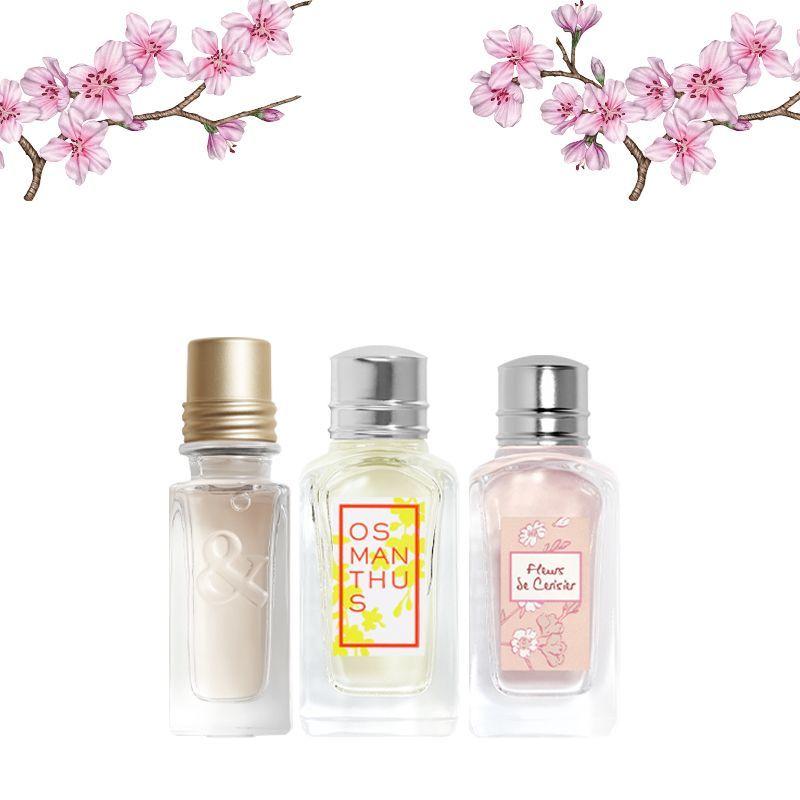 l'occitane mini perfume kit