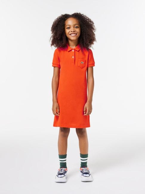lacoste kids orange solid polo dress