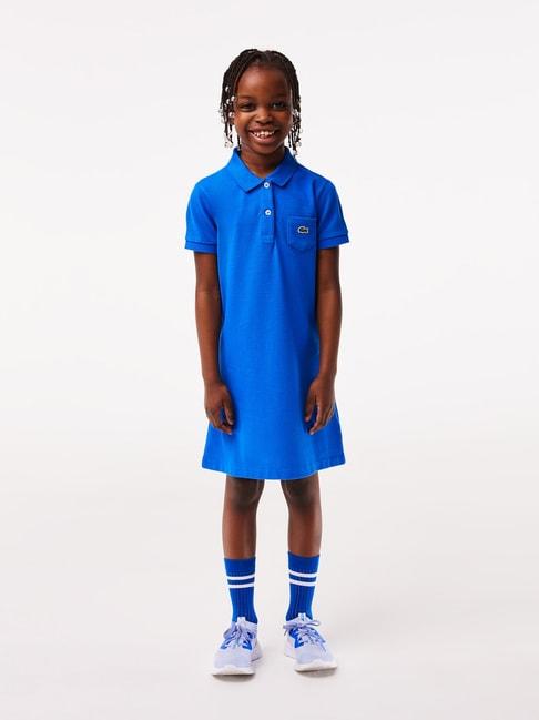 lacoste kids royal blue solid polo dress