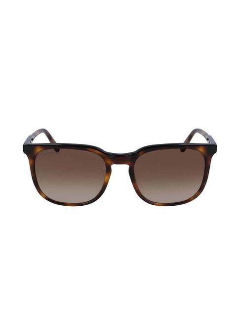 lacoste la925 brown square sunglasses