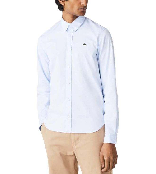 lacoste blue slim fit shirt