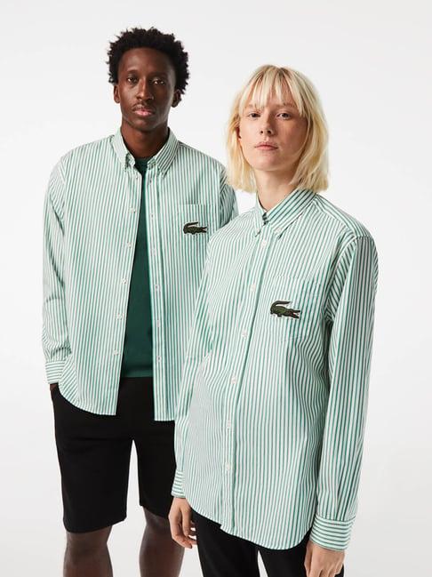 lacoste multi cotton relaxed fit striped shirt