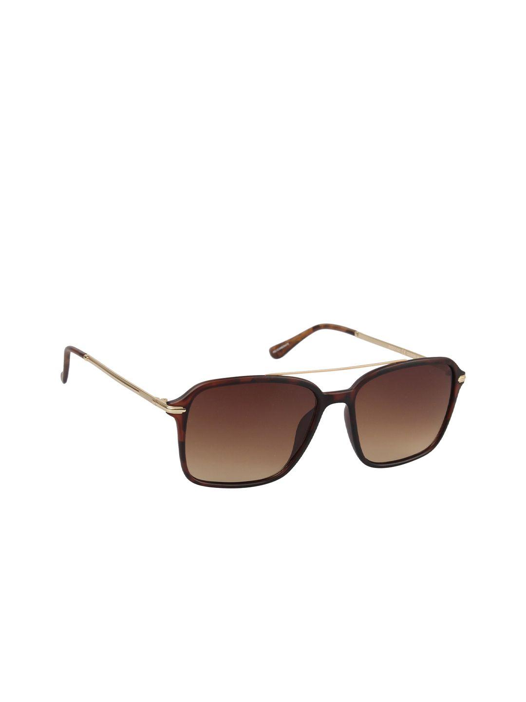 lee cooper men brown lens & brown square sunglasses with uv protected lens lc9193twa