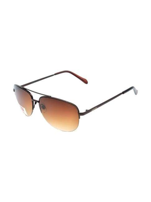 levi's brown aviator uv protection sunglasses for men