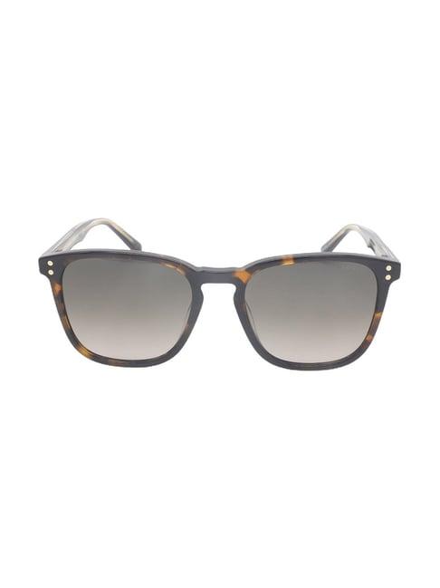 levi's brown square sunglasses for men