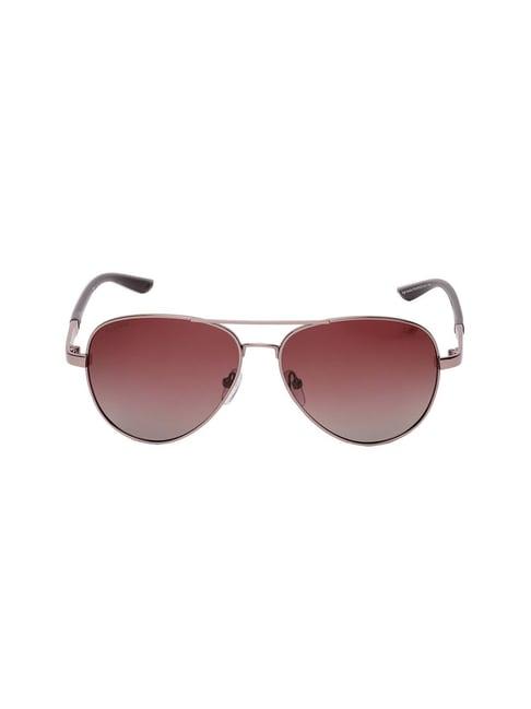 life brown aviator sunglasses for men