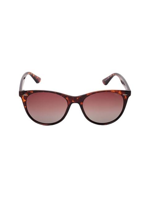 life brown wayfarer sunglasses for women