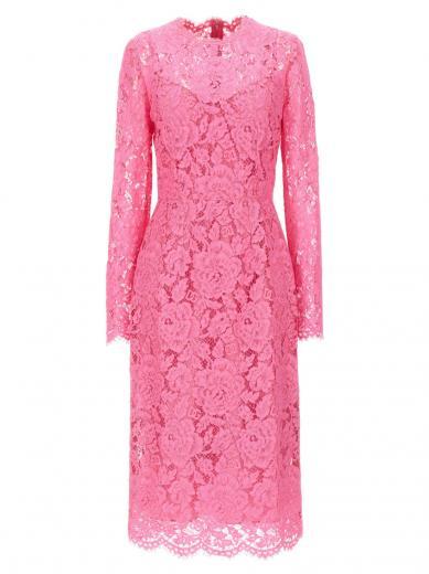 light pink lace sheath dress