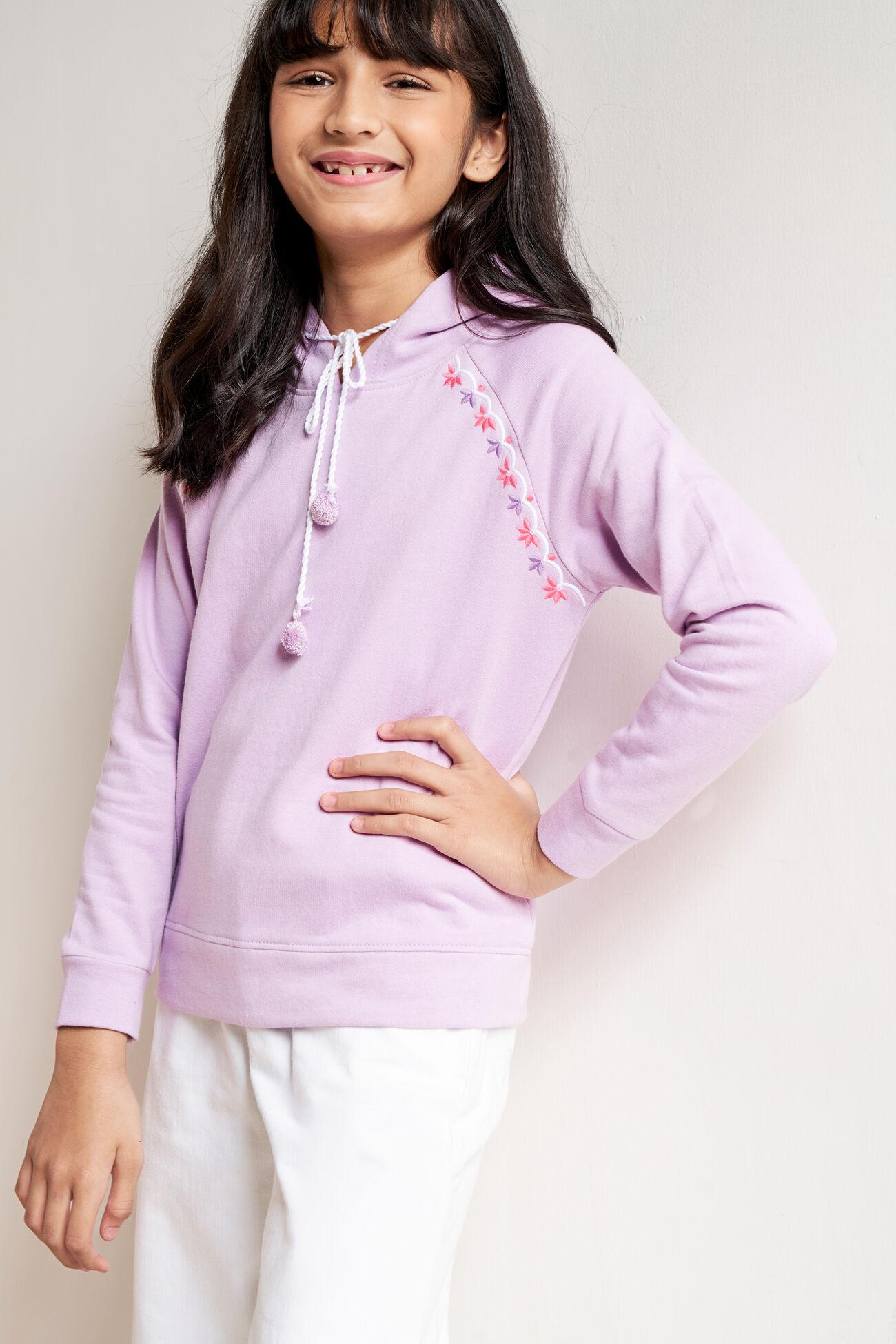 lilac solid embroidered top