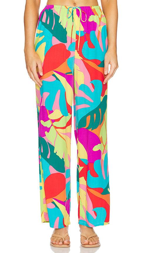 lily pant