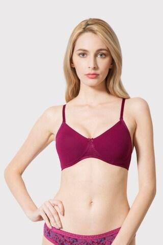 magenta solid women regular fit bra