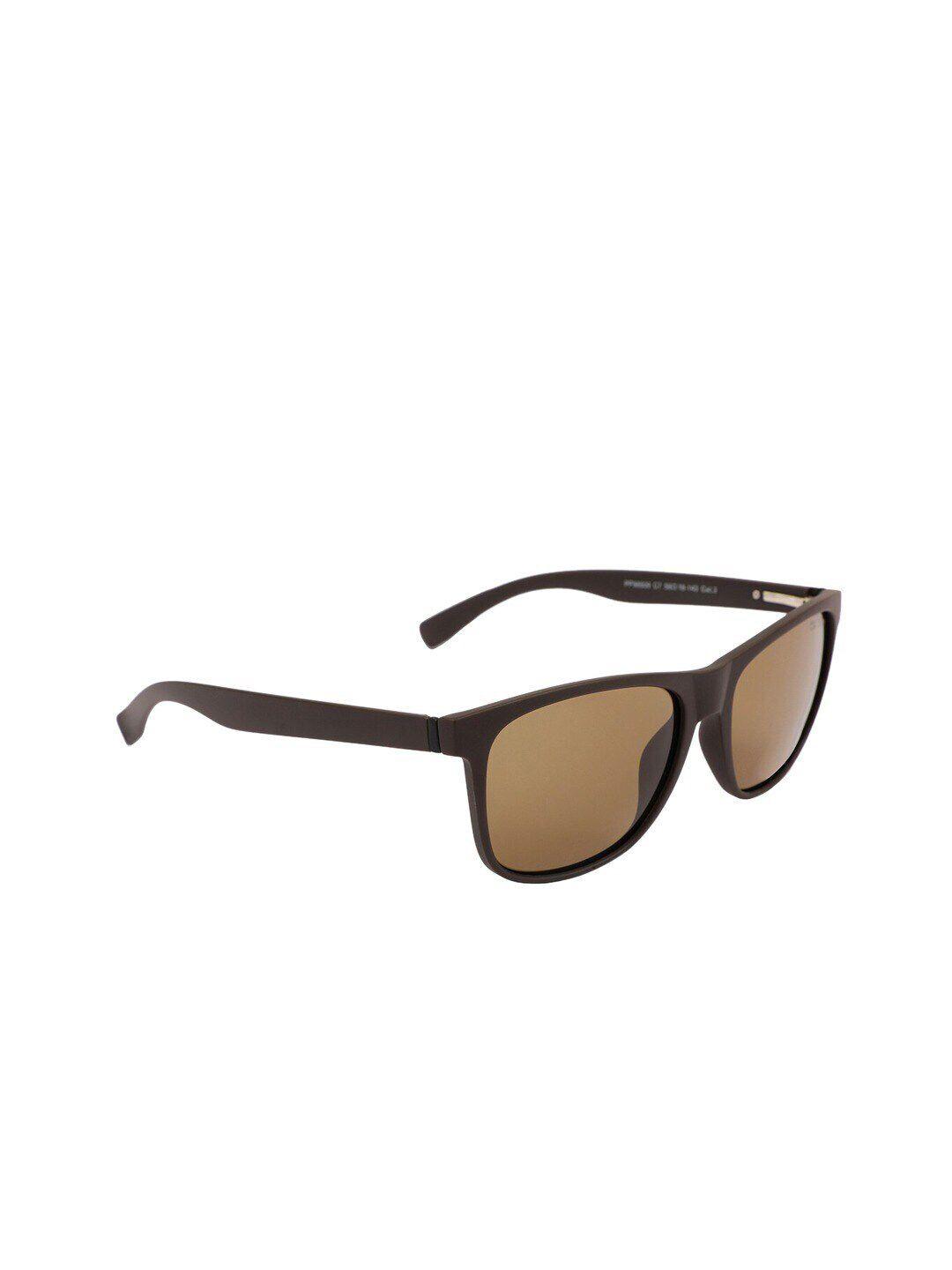 marc louis unisex brown lens & brown wayfarer sunglasses with uv protected lens