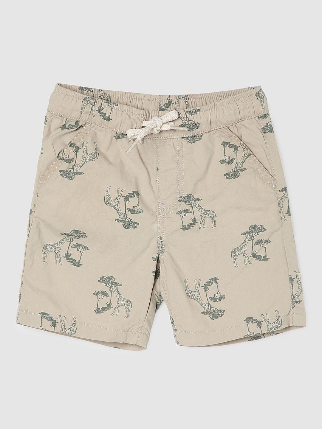 max infant boys conversational printed pure cotton regular shorts