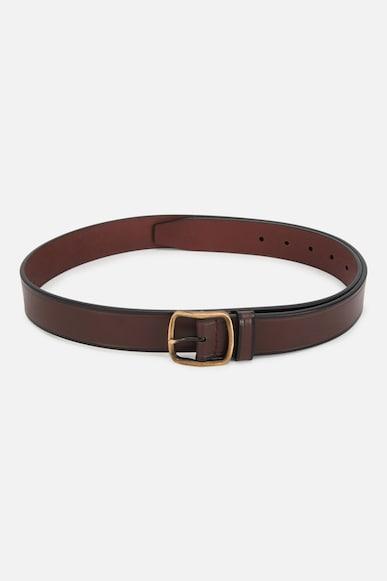 men brown solid casual belt
