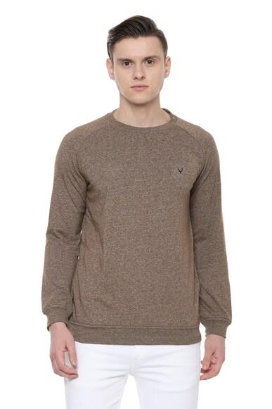 men brown crew neck full sleeves casual sweatshirt