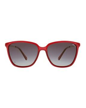 men full-rim sunglasses-en p 1003 c4